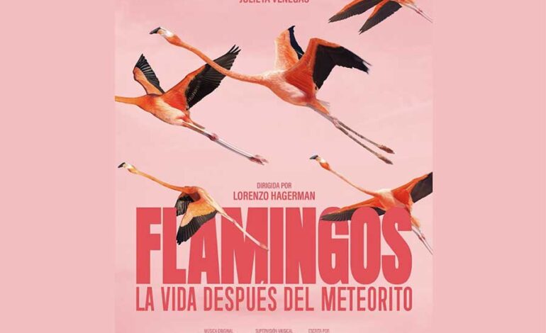 Flamingos