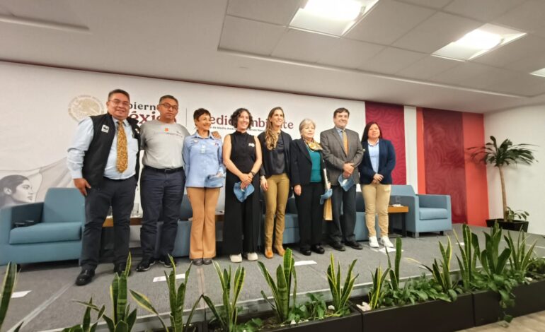 La presencia de la mariposa Monarca aumenta 64% en los bosques de hibernación mexicanos