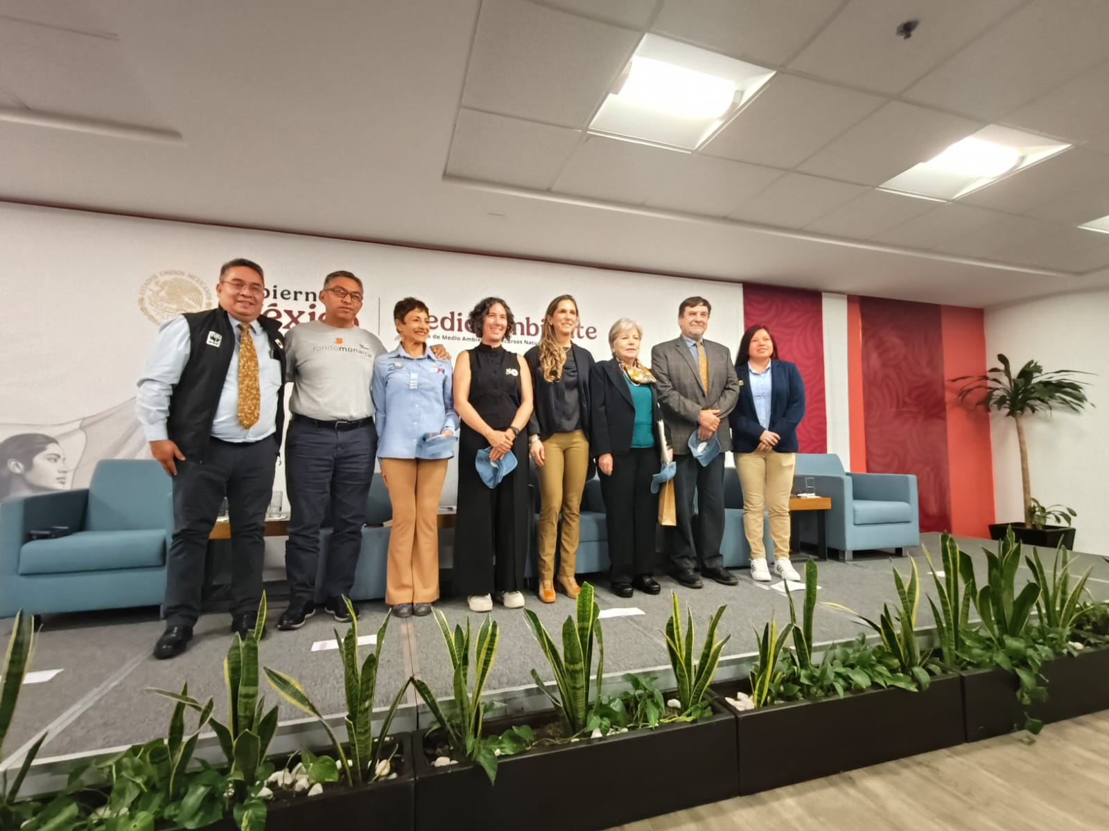 La presencia de la mariposa Monarca aumenta 64% en los bosques de hibernación mexicanos