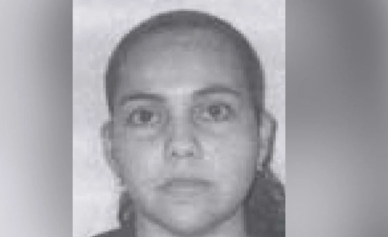 c1121499 e99d 45bc 93d8 5b1ee4f2ae18