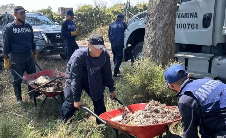 Contaminación alcanza playas de Tuxpan en Veracruz: detectan hidrocarburo a días de Semana Santa