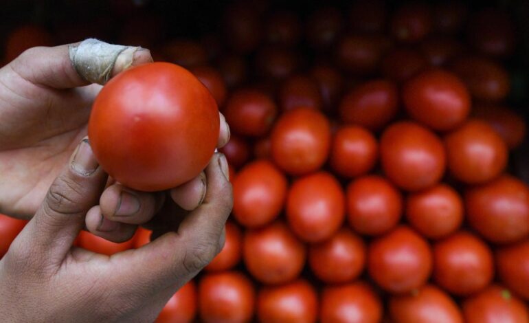 69d7b44d4a807.r d.1398 1000 4292