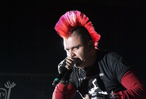 LAGARTO METUNK FOTO1 e1777483062814