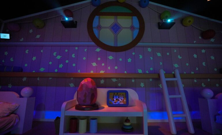 LaCasaBluey55 scaled