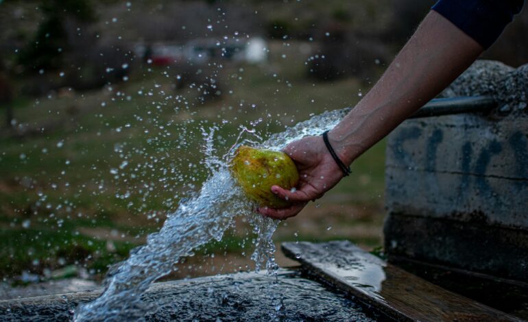 Agrava presión sobre agua, suelo y clima por desperdicio alimentario