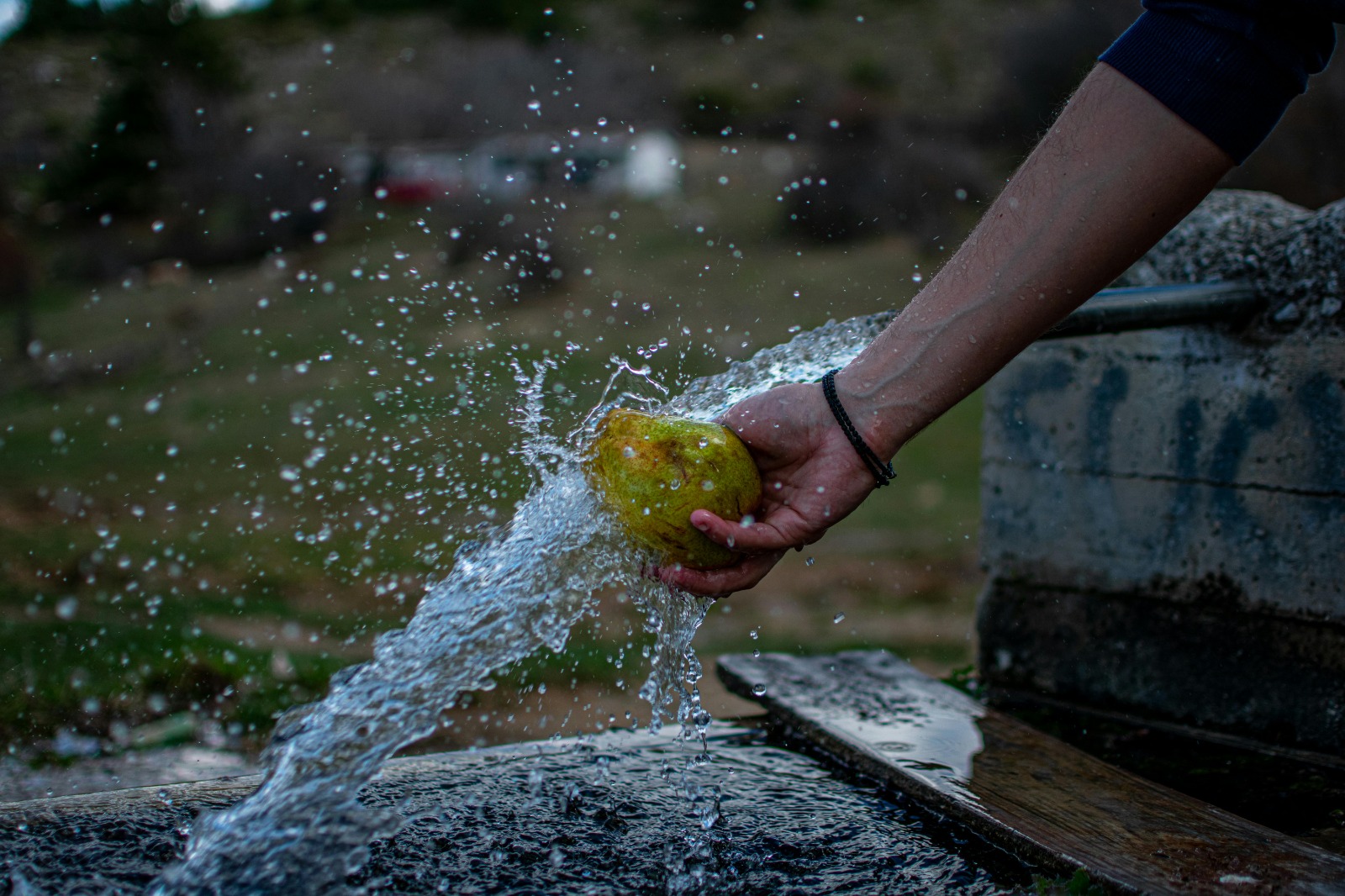 Agrava presión sobre agua, suelo y clima por desperdicio alimentario