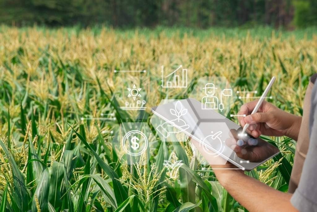 Bioenergía y sistemas de gestión: una palanca para el crecimiento sostenible del agro en México