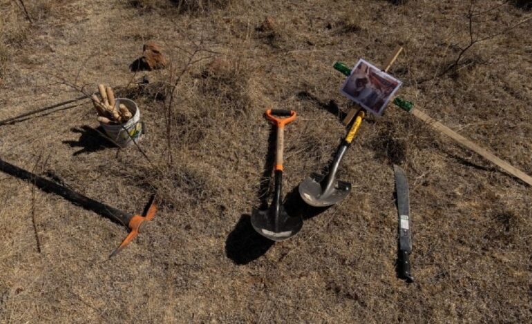 f960x540 143747 217822 5050