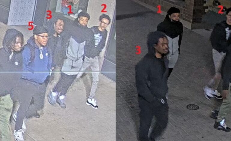 f960x540 145018 219093 5050