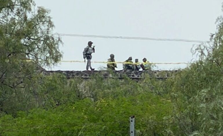 sheinbaum lamenta agresion en teotihuacan instruye al gabinete de seguridad investigar a fondo 1e29f450 811a 459b 87ee 2e9892907e07 medialjnimgndimagefullsize