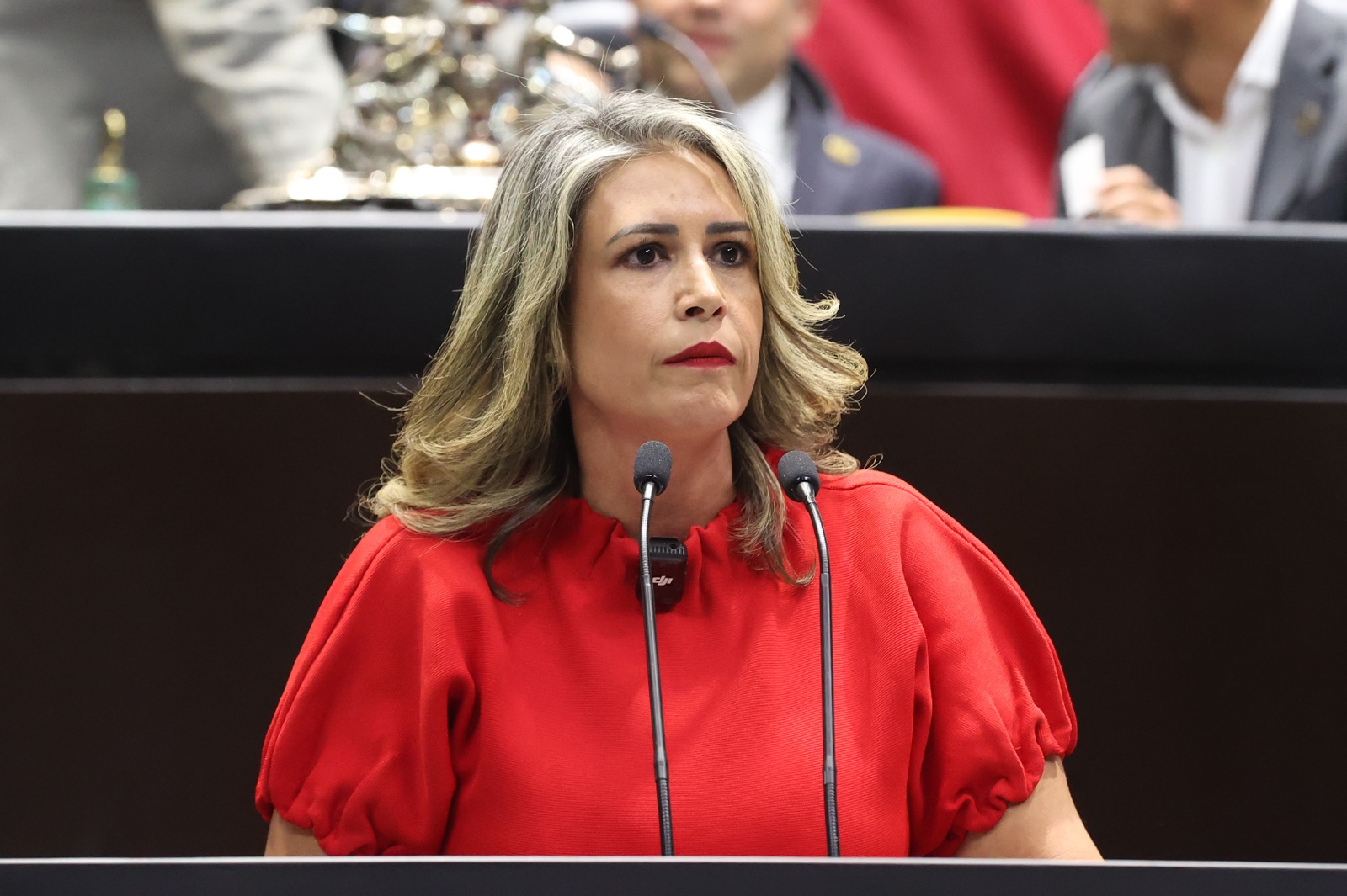 Destaca Paulina Rubio importancia de fortalecer diálogo político y cooperación hemisférica ante desafíos que enfrentan América Latina y El Caribe