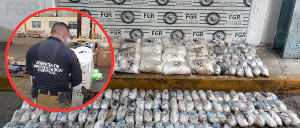 Aseguran más de 145 kilos de metanfetamina en paquetería de Hermosillo
