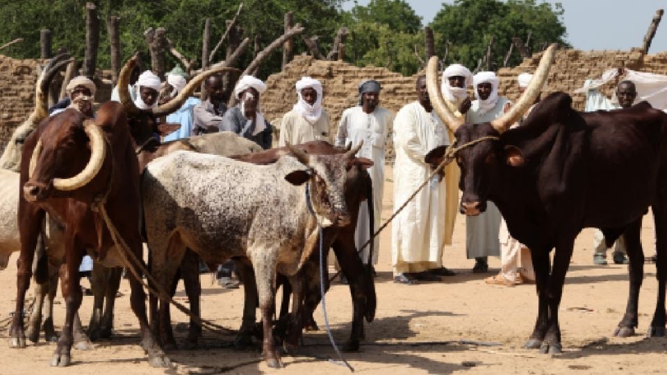 Enfrentamientos entre pastores y campesinos dejan al menos 32 muertos en Chad, entre ellos cuatro niños