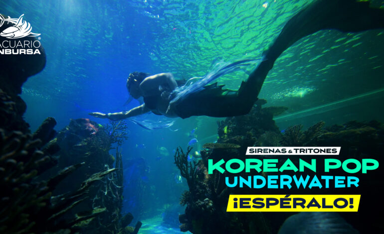 Sirenas y tritones con temática K-pop llegarán al Acuario Inbursa este 4 y 5 de julio