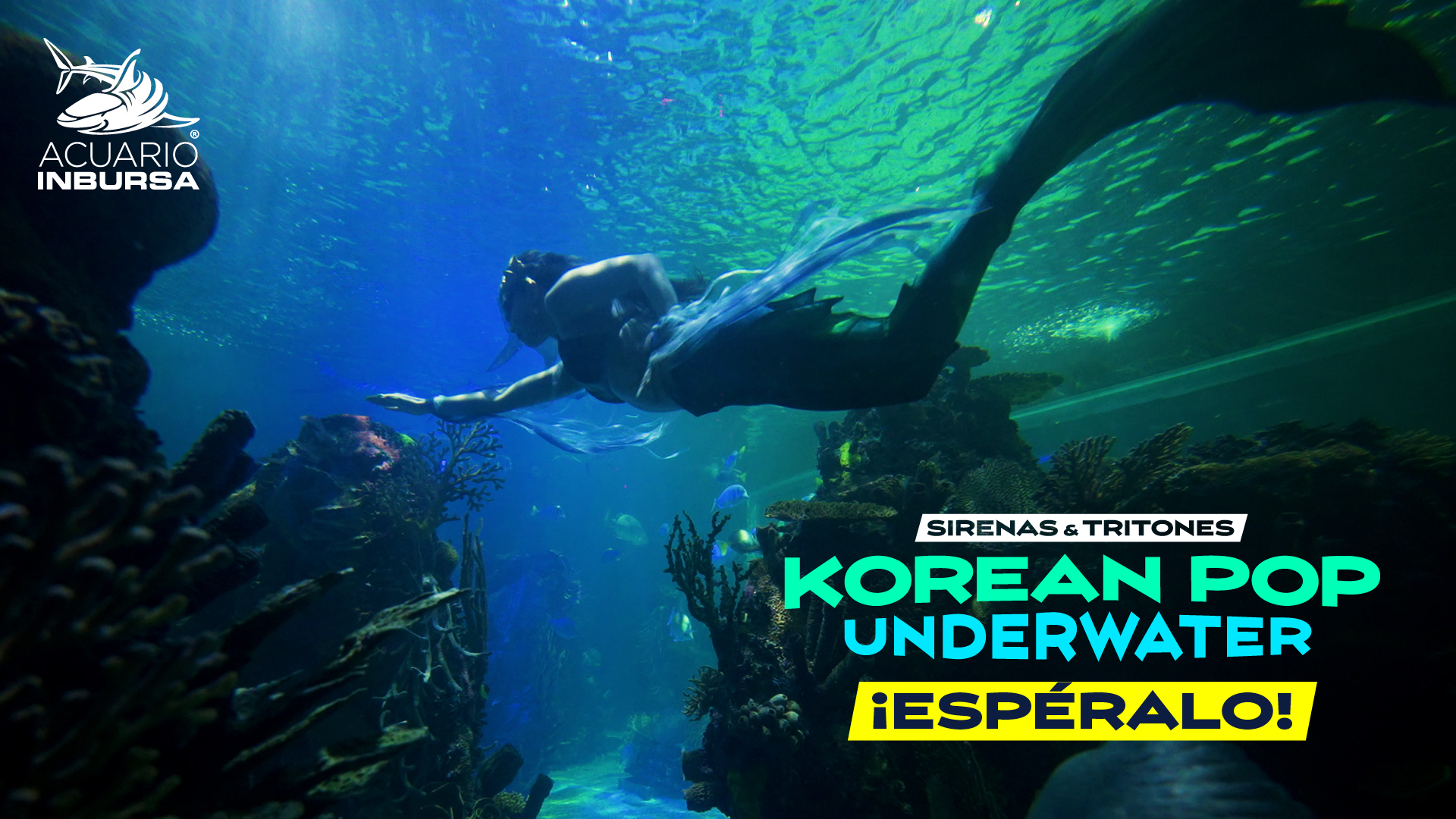 Sirenas y tritones con temática K-pop llegarán al Acuario Inbursa este 4 y 5 de julio