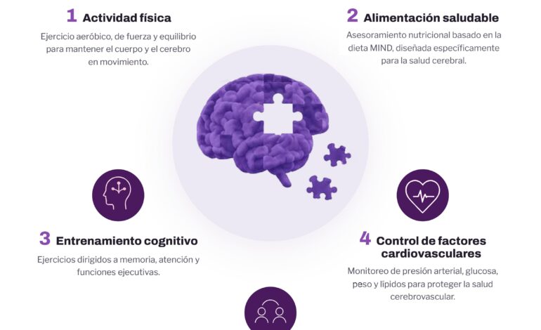 Las 5 actividades para un cerebro sano Infografa