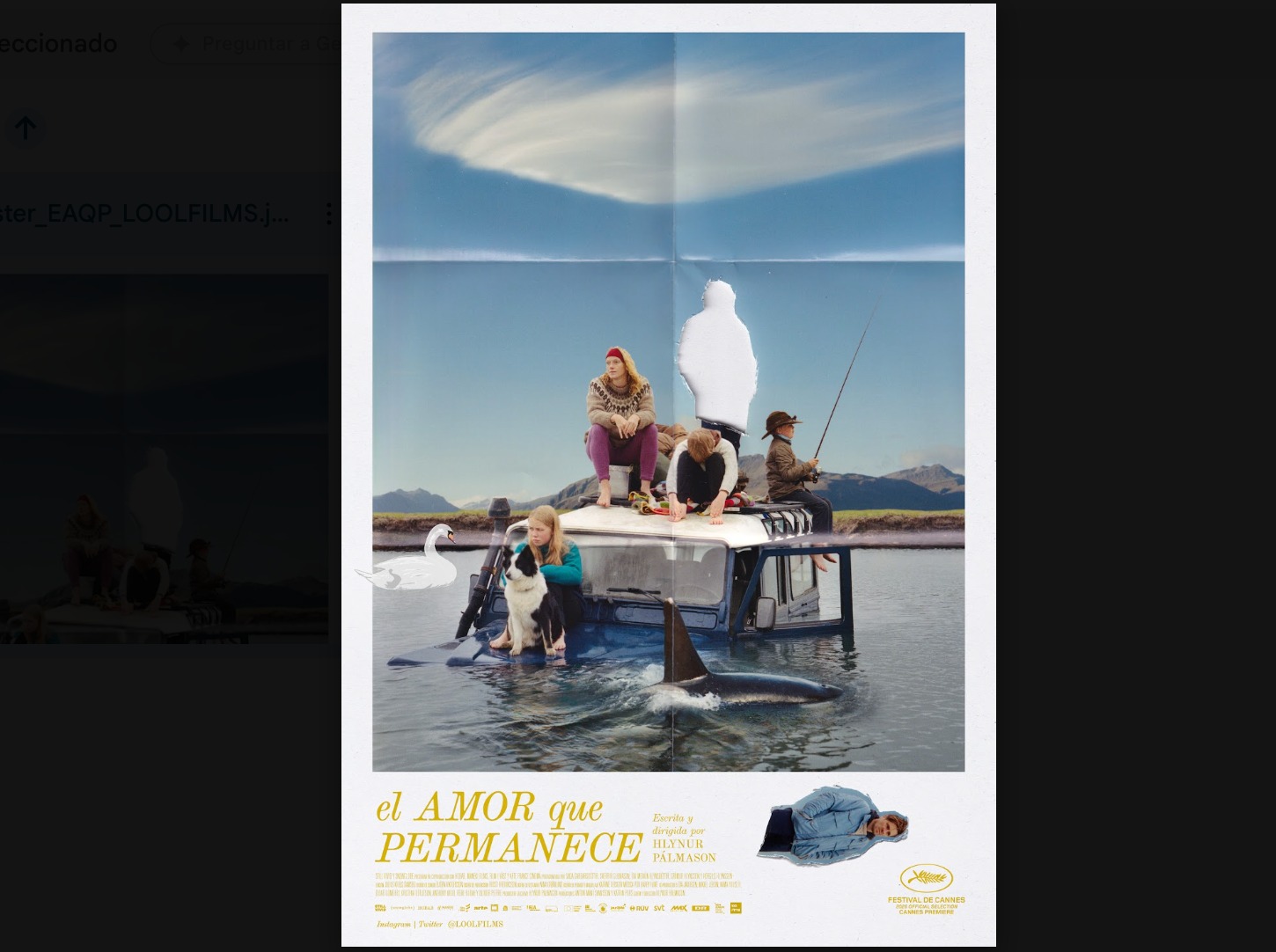 ¡Hoy gran estreno! La perrita que ganó en Cannes y ‘El amor que permanece’ llegan a cines mexicanos