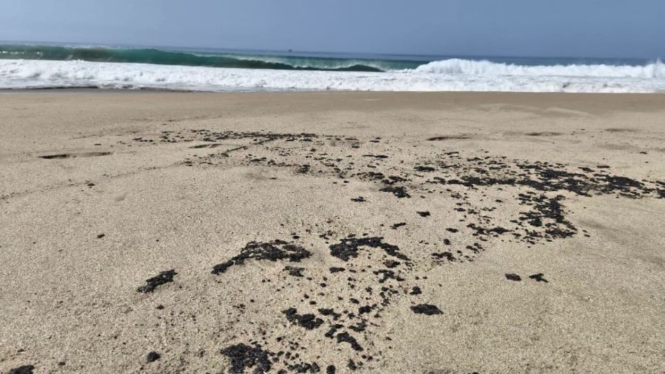Nuevo derrame de hidrocarburo afecta cuatro playas de Salina Cruz, Oaxaca, en plena temporada vacacional