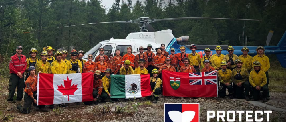 La misión internacional de los 19 brigadistas de CDMX: ¿Cómo salvan los bosques canadienses?