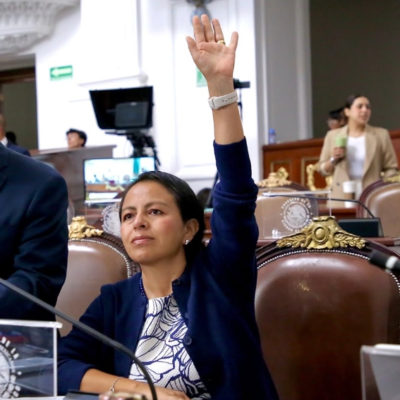 Exige Liz Salgado transparencia verificable contra despojo urbano