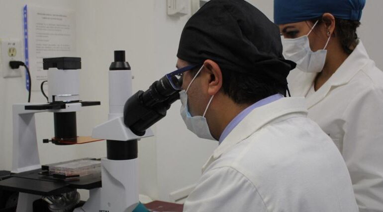descarta cofepris presencia parasito diarrea explosiva riviera maya 13 1000x428