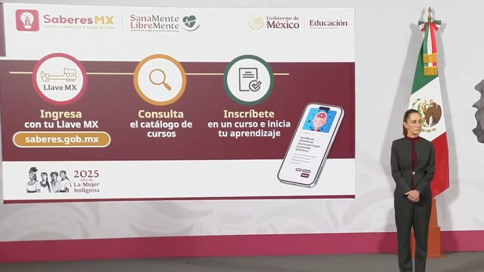 De la UNAM al gobierno: las fallas de una misma empresa vuelven a encender las alarmas
