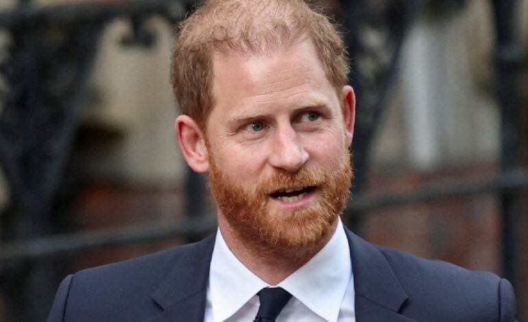 El príncipe Harry abandona la ONG African Parks en el marco de su regreso al Reino Unido