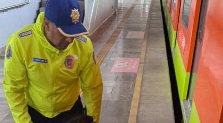 Fallece persona tras presuntamente arrojarse a las vías en la estación Tlaltenco de la Línea 12 del Metro
