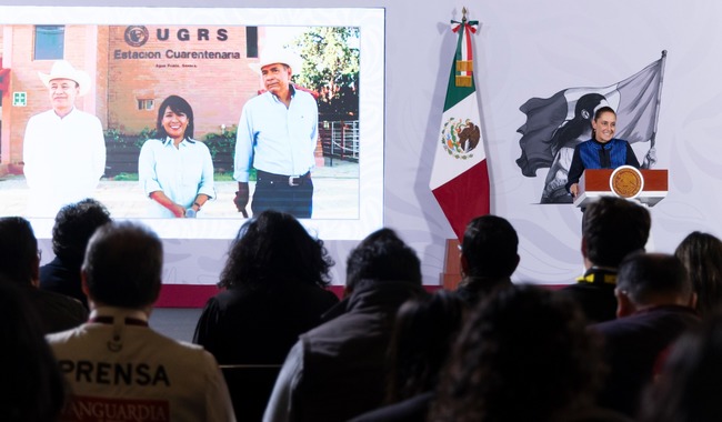 Sheinbaum anuncia reanudación de la exportación de ganado a Estados Unidos desde Sonora