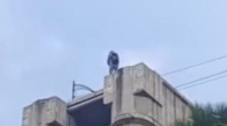 reportan muerte hombre lanzarse distribuidor vial jardin balbuena 13 1000x428