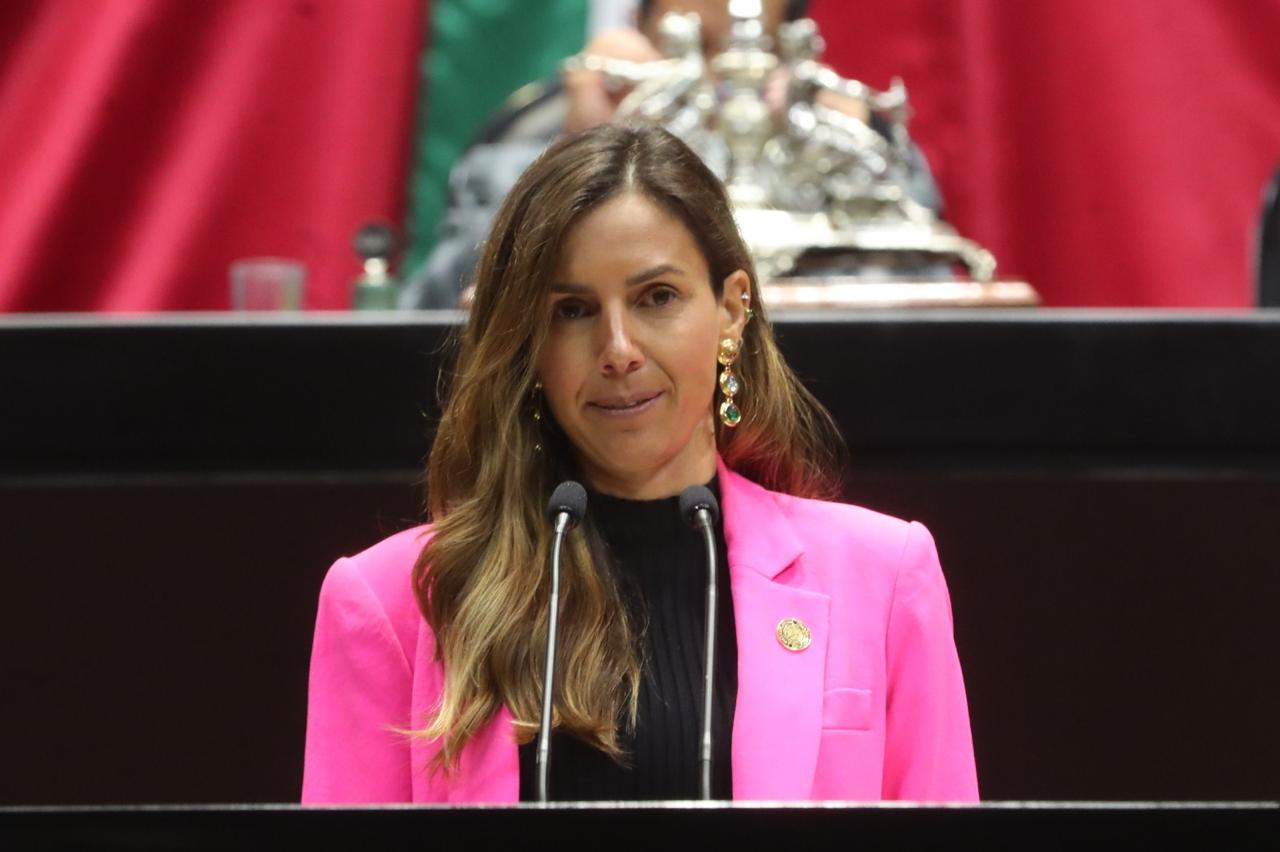Busca iniciativa castigar hasta con seis años de prisión a quien abandone a una persona adulta mayor
