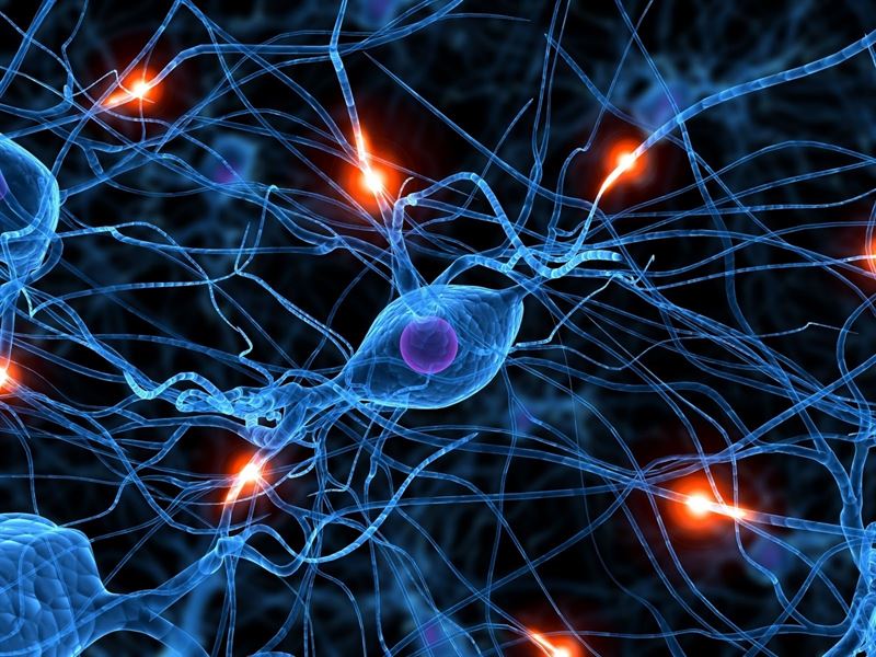 Afecciones neurológicas principal causa de enfermedad y discapacidad en todo el mundo; afectan a más de una de cada tres personas