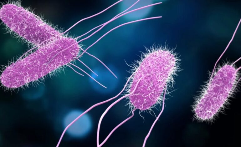 Cuando una infección gastrointestinal no espera: el valor de un diagnóstico oportuno. El arte de disfrutar con estilo y sentido.