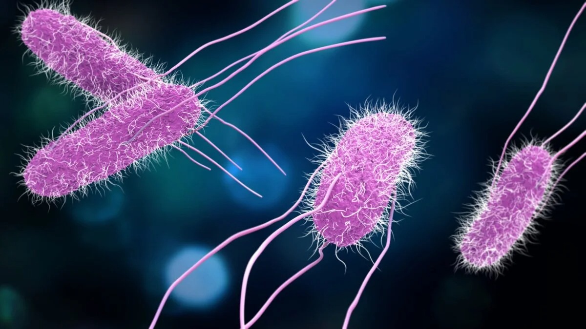Cuando una infección gastrointestinal no espera: el valor de un diagnóstico oportuno. El arte de disfrutar con estilo y sentido.