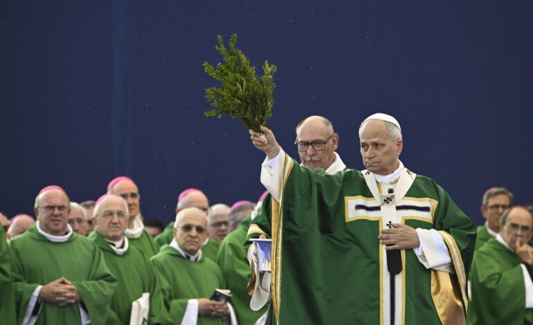 El papa condena desde Lourdes que se eliminen vidas “por falsa compasión”