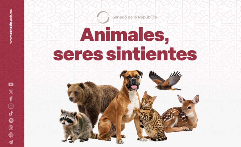 animales
