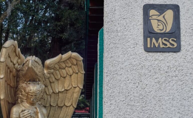 IMSS niega «carencias» en hospital de Durango donde murieron cinco bebés y Cofepris investiga; padres de los neonatos acusan opacidad
