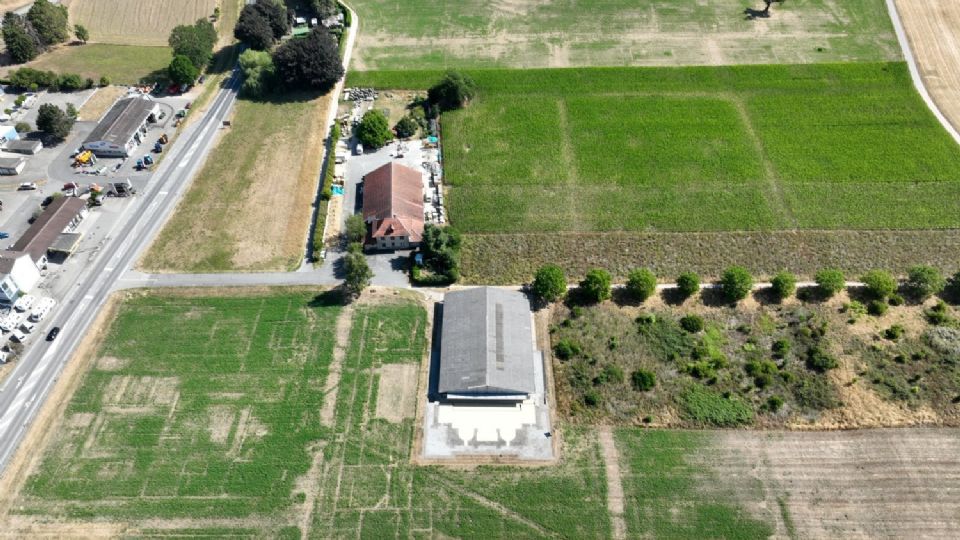 La sequía reveló los hallazgos arqueológicos más importantes de los últimos 50 años en Suiza