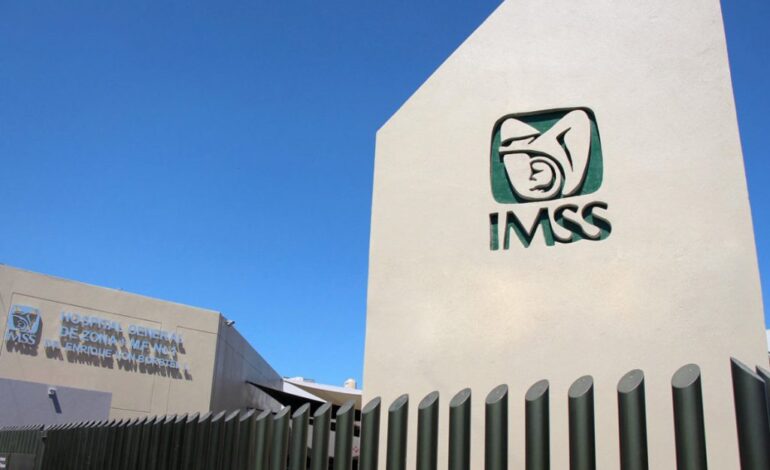imss 1024x693 1