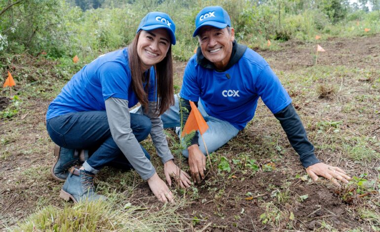 Cox planta 12,000 árboles en seis estados de México con acciones de voluntariado