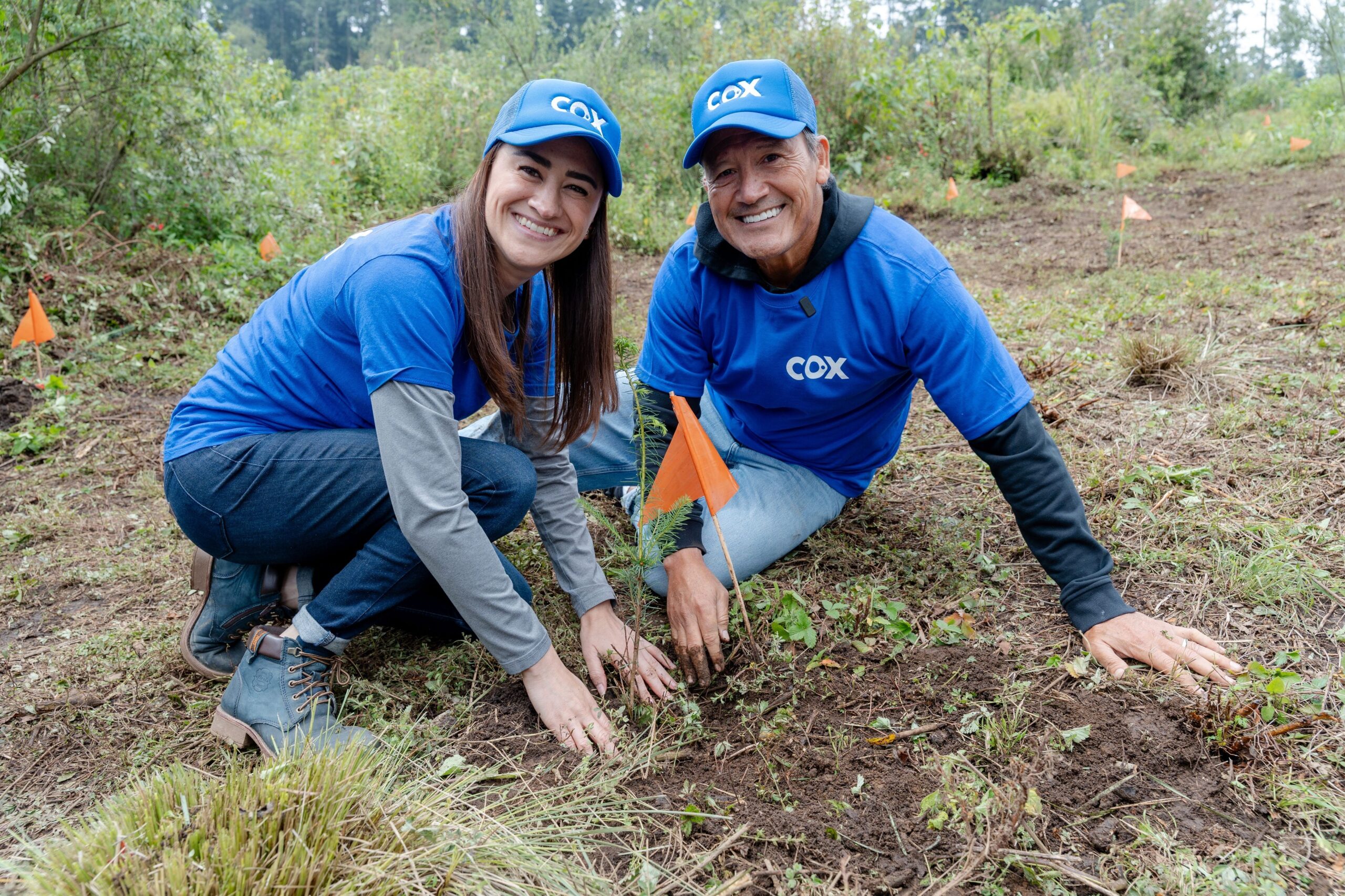 Cox planta 12,000 árboles en seis estados de México con acciones de voluntariado