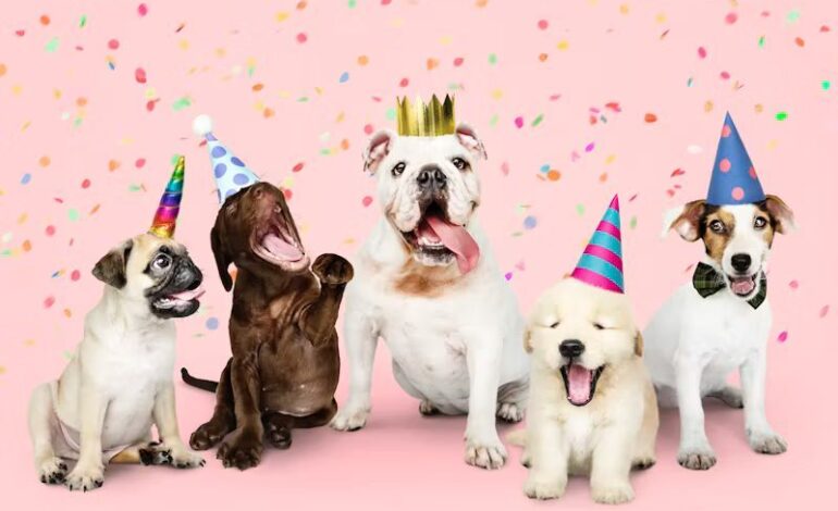 Petco celebra 13 años en México y consolida su evolución hacia el bienestar y la experiencia