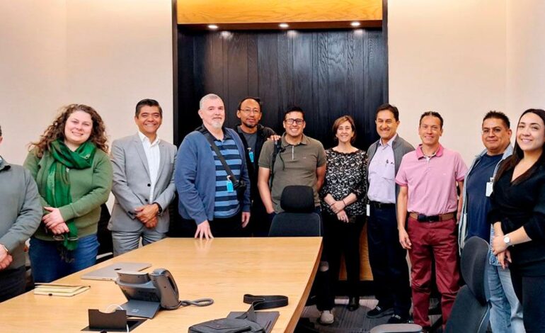Equipo neti 2026