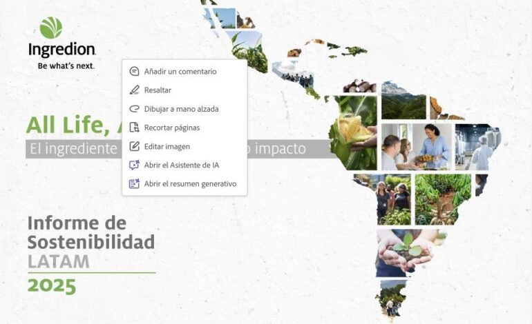 Reporte Latam 2025