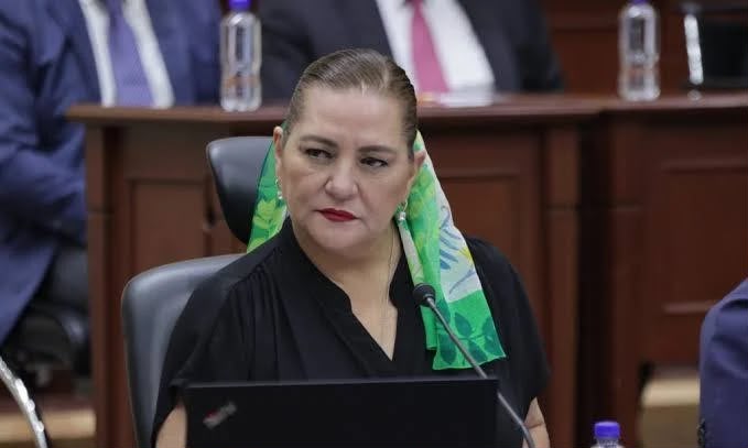 Renuncia Taddei al INE